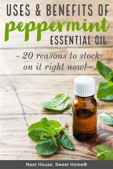 How Can You Use Is Peppermint Oil Safe for Babies Effectively?